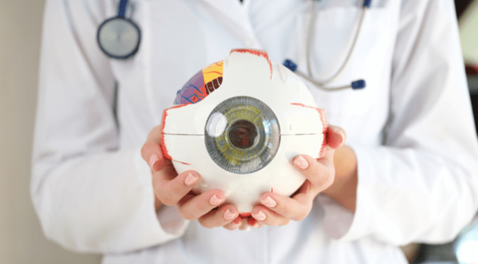 Eye Anatomy: The Structures of the Eye and Their Functions