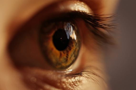 Point-of-Care Testing with Autonomous AI Preserves Patient Eyesight and Drives Healthcare Equity: White Paper